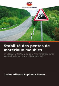 Stabilité des pentes de matériaux meubles - Espinoza Torres, Carlos Alberto