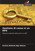 Gestione di cassa in un MFE