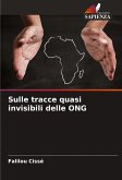 Sulle tracce quasi invisibili delle ONG