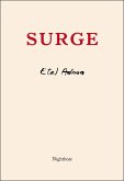 Surge (eBook, ePUB)