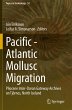 Pacific - Atlantic Mollusc Migration - Bild 1