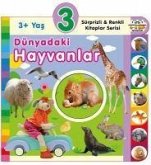 3 Yas Dünyadaki Hayvanlar