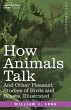How Animals Talk - Bild 1