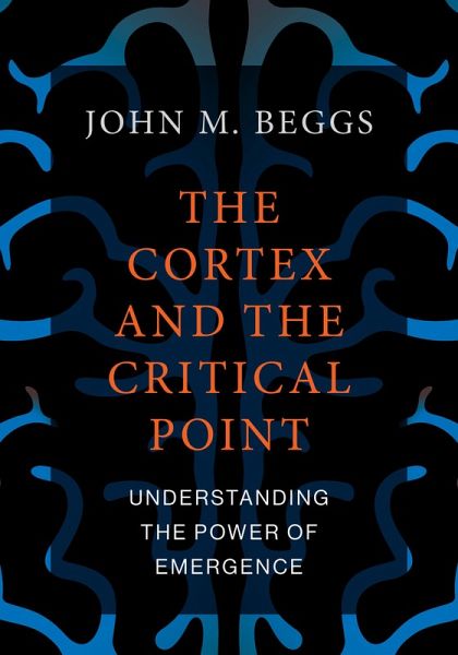 The Cortex and the Critical Point (eBook, ePUB) The Cortex and the Critical Point (eBook, ePUB)