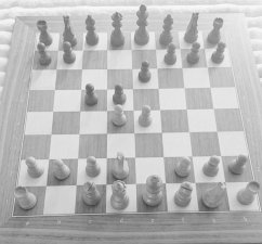 Prinzipien des Schachspiels (eBook, ePUB) - Hirt, Roman