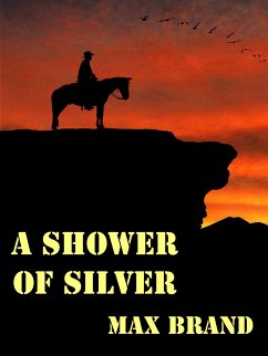 A Shower of Silver (eBook, ePUB) - Brand, Max