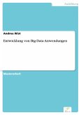 Entwicklung von Big-Data-Anwendungen (eBook, PDF)