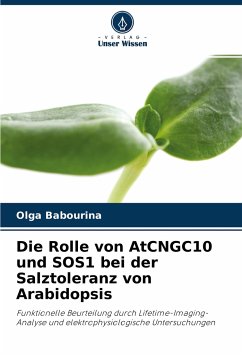Die Rolle von AtCNGC10 und SOS1 bei der Salztoleranz von Arabidopsis - Babourina, Olga