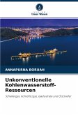 Unkonventionelle Kohlenwasserstoff-Ressourcen