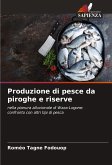 Produzione di pesce da piroghe e riserve