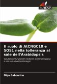 Il ruolo di AtCNGC10 e SOS1 nella tolleranza al sale dell'Arabidopsis