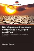 Développement de nano-composites PVC/argile plastifiés