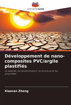 Développement de nano-composites PVC/argile plastifiés - Zheng, Xiaoran