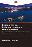 Ressources en hydrocarbures non conventionnels