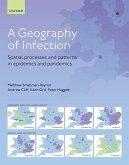 A Geography of Infection (eBook, PDF)