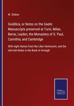 Goidilica, or Notes on the Gaelic Manuscripts preserved at Turin, Milan, Berne, Leyden, the Monastery of S. Paul, Carinthia, and Cambridge - Stokes, W.