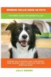 Border Collie Dogs as Pets - Bild 1