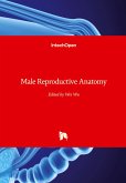 Male Reproductive Anatomy