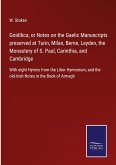 Goidilica, or Notes on the Gaelic Manuscripts preserved at Turin, Milan, Berne, Leyden, the Monastery of S. Paul, Carinthia, and Cambridge