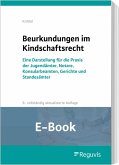 Beurkundungen im Kindschaftsrecht (E-Book) (eBook, PDF)