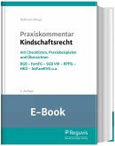 Praxiskommentar Kindschaftsrecht (E-Book) (eBook, PDF)