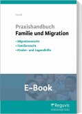 Praxishandbuch Familie und Migrationsrecht (E-Book) (eBook, PDF)