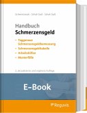 Handbuch Schmerzensgeld (E-Book) (eBook, PDF)