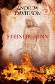 Steindrekinn (eBook, ePUB)