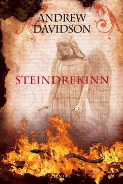 Steindrekinn (eBook, ePUB) - Davidson, Andrew