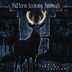 Only Passing Through - Pattern-Seeking Animals