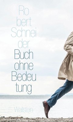 Buch ohne Bedeutung (eBook, PDF) - Schneider, Robert
