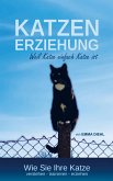 Katzenerziehung weil Katze einfach Katze ist