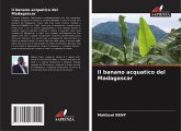 Il banano acquatico del Madagascar