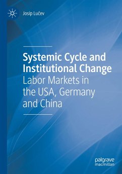 Systemic Cycle and Institutional Change - Lucev, Josip