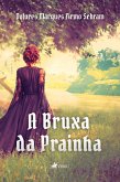 A bruxa da prainha (eBook, ePUB)