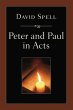 Peter and Paul in Acts: A Comparison of... - Bild 1