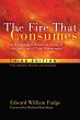 The Fire That Consumes (eBook, ePUB) - Bild 1
