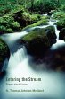 Entering the Stream (eBook, ePUB) - Bild 1