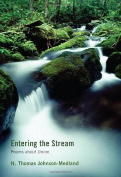 Entering the Stream (eBook, ePUB)