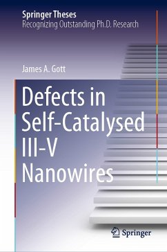 Defects in Self-Catalysed III-V Nanowires (eBook, PDF) - Gott, James A.