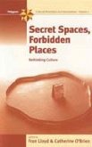 Secret Spaces, Forbidden Places (eBook, PDF)