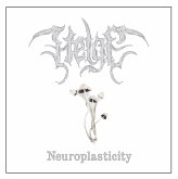 Neuroplasticity