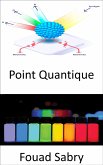 Point Quantique (eBook, ePUB)