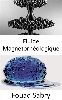 Fluide Magnétorhéologique (eBook, ePUB) - Sabry, Fouad