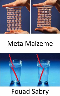 Meta Malzeme (eBook, ePUB) - Sabry, Fouad