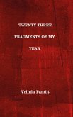 Twenty Three Fragments of My Year (eBook, ePUB)