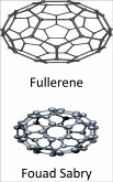 Fullerene (eBook, ePUB)