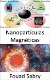 Nanopartículas Magnéticas (eBook, ePUB)