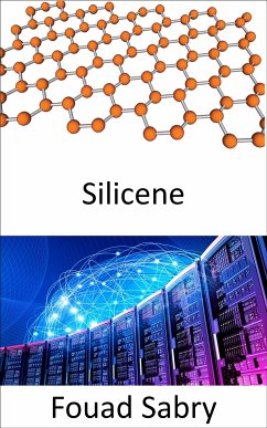 Silicene (eBook, ePUB) - Sabry, Fouad