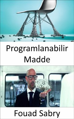 Programlanabilir Madde (eBook, ePUB) - Sabry, Fouad